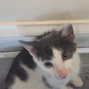 Meet your Posher, Marion